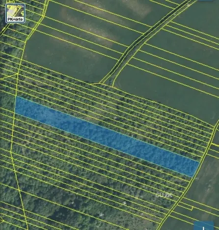 Prodej lesa, Šarovy, 11619 m2