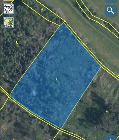 Prodej lesa, Kropáčova Vrutice, 15167 m2