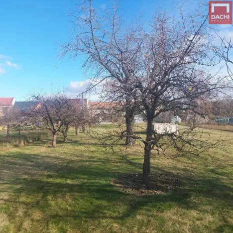 Prodej zahrady, Olomouc, Lidická, 1080 m2
