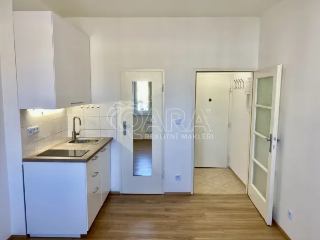 Pronájem bytu 1+kk, Praha - Nusle, V Horkách, 17 m2