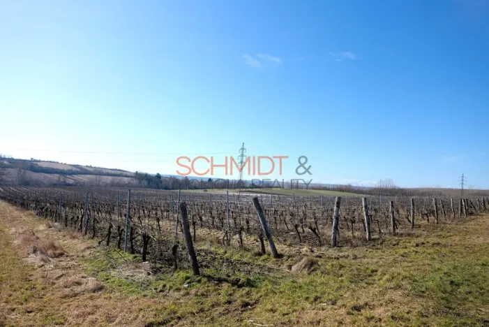 Prodej sadu/vinice, Sedlec, 11641 m2