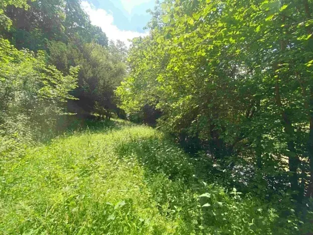 Dražba pozemku, Malá Bystřice, 933 m2