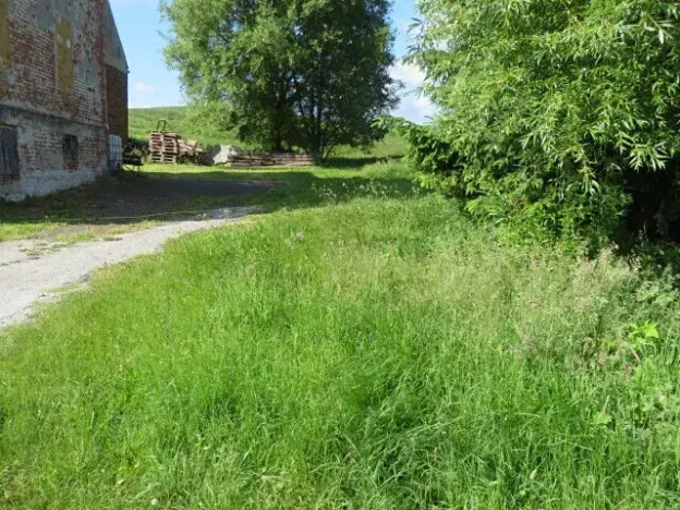 Dražba zahrady, Otročín, 265 m2