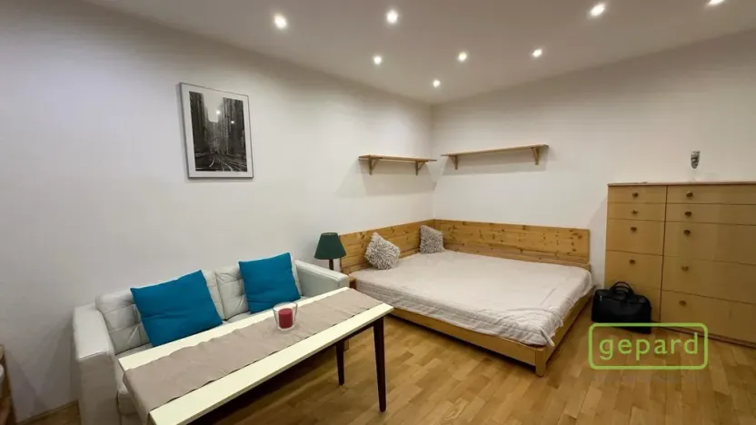 Pronájem bytu 1+1, Brno, Halasovo náměstí, 37 m2