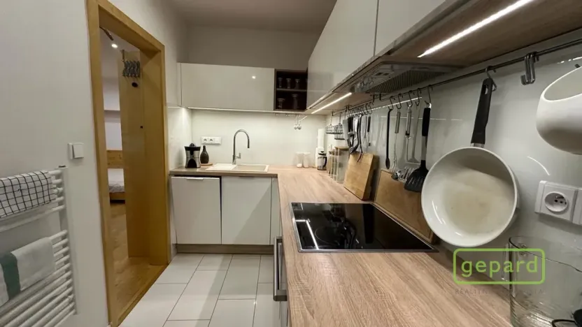 Pronájem bytu 1+1, Brno, Halasovo náměstí, 37 m2