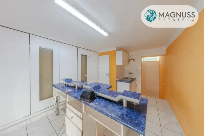 Prodej činžovního domu, Přerov, Boženy Němcové, 208 m2