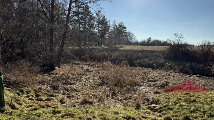 Prodej chaty, Velký Bor - Slivonice, 35 m2