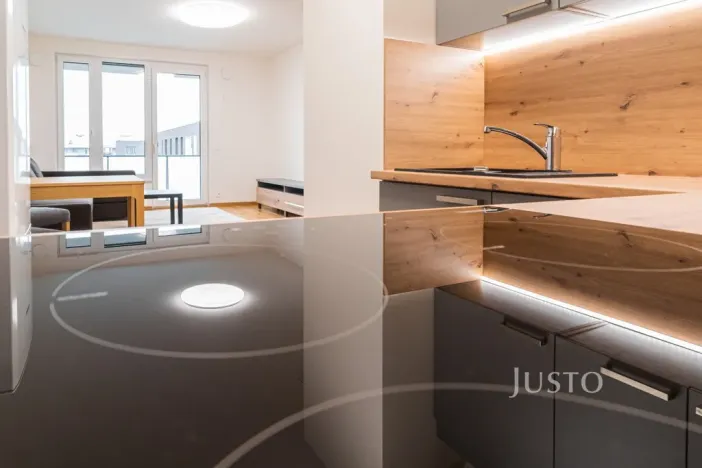 Pronájem bytu 2+kk, Praha, Wassermannova, 49 m2