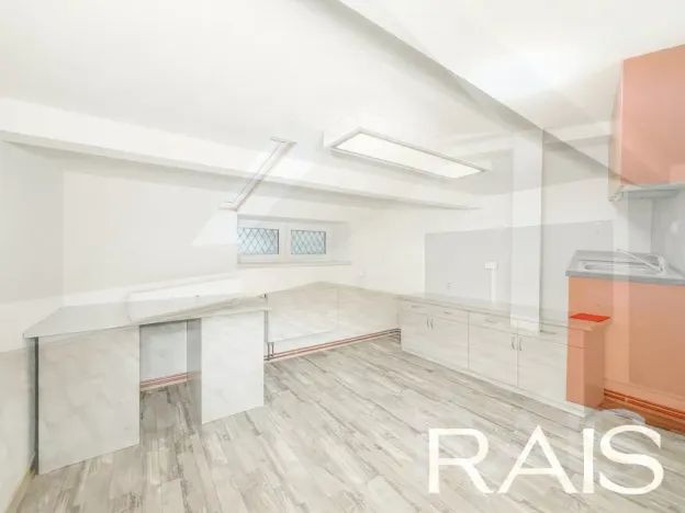 Prodej vícegeneračního domu, Hodonín, Muchova, 235 m2