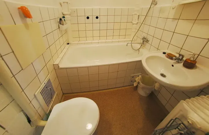 Pronájem bytu 1+1, Plzeň, Blatenská, 29 m2