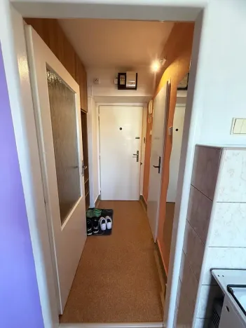 Pronájem bytu 1+1, Plzeň, Blatenská, 29 m2