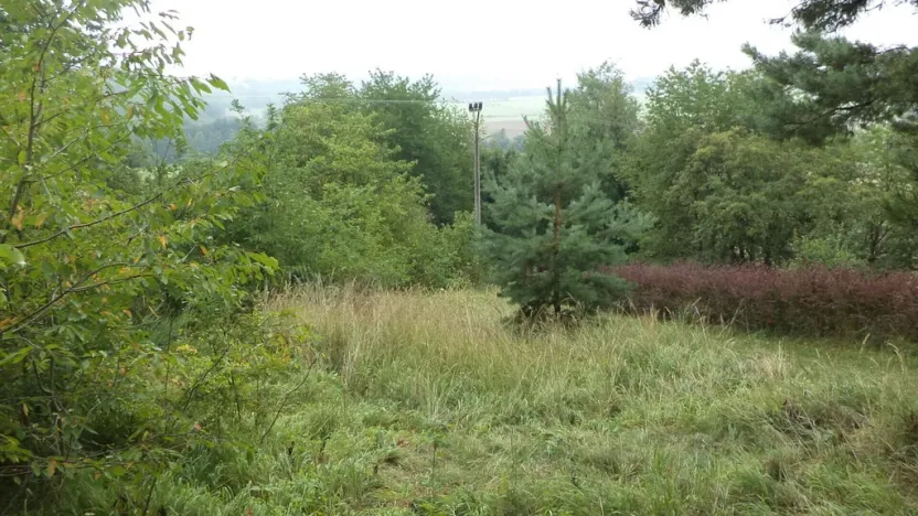 Prodej pozemku, Skuteč, 881 m2