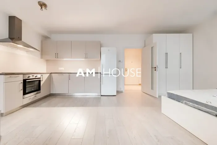 Pronájem bytu 1+kk, Praha - Karlín, Sokolovská, 40 m2