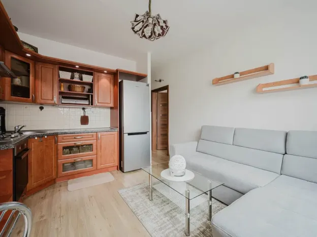 Prodej bytu 1+1, Pardubice - Zelené Předměstí, Palackého třída, 40 m2