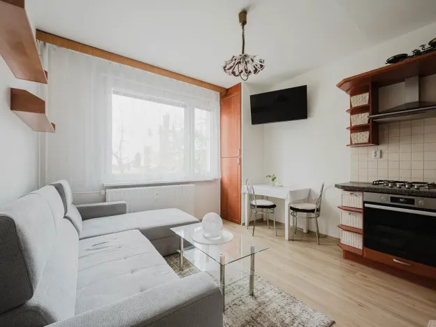 Prodej bytu 1+1, Pardubice - Zelené Předměstí, Palackého třída, 40 m2