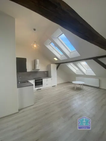 Pronájem bytu 2+kk, Plzeň - Východní Předměstí, Slovanská, 59 m2