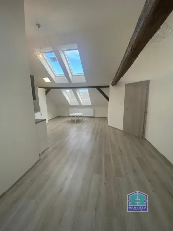 Pronájem bytu 2+kk, Plzeň - Východní Předměstí, Slovanská, 59 m2