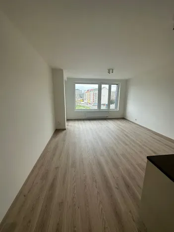 Pronájem bytu 2+kk, Praha - Holešovice, U Pergamenky, 54 m2