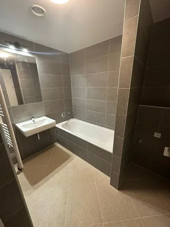 Pronájem bytu 2+kk, Praha - Holešovice, U Pergamenky, 54 m2