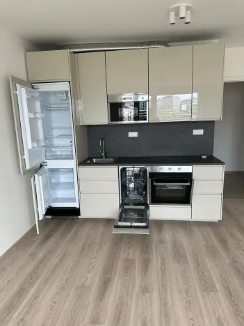 Pronájem bytu 2+kk, Praha - Holešovice, U Pergamenky, 54 m2