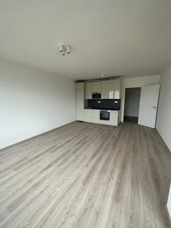 Pronájem bytu 2+kk, Praha - Holešovice, U Pergamenky, 54 m2