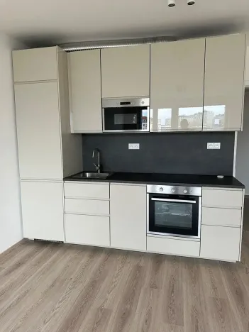 Pronájem bytu 2+kk, Praha - Holešovice, U Pergamenky, 54 m2