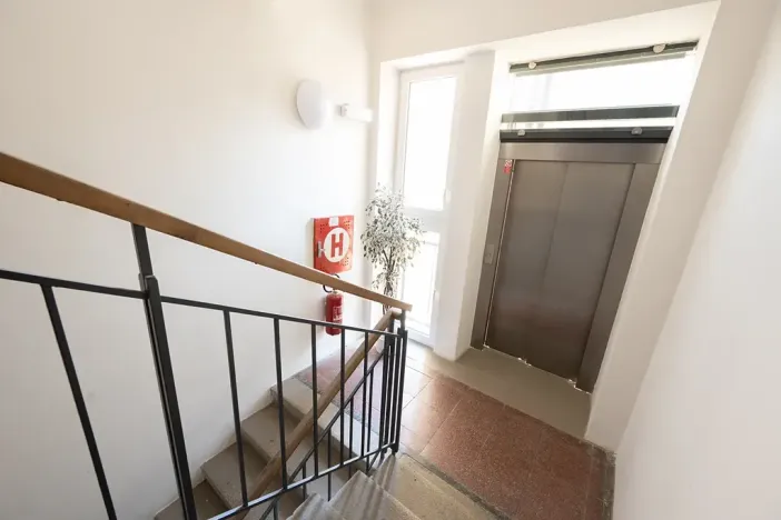 Pronájem bytu 3+1, Brno, Botanická, 114 m2