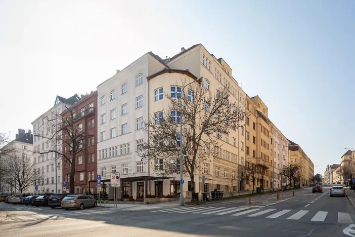 Pronájem bytu 3+1, Brno, Botanická, 114 m2