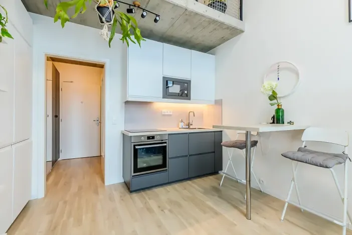 Prodej bytu 1+kk, Praha - Libeň, Novovysočanská, 39 m2