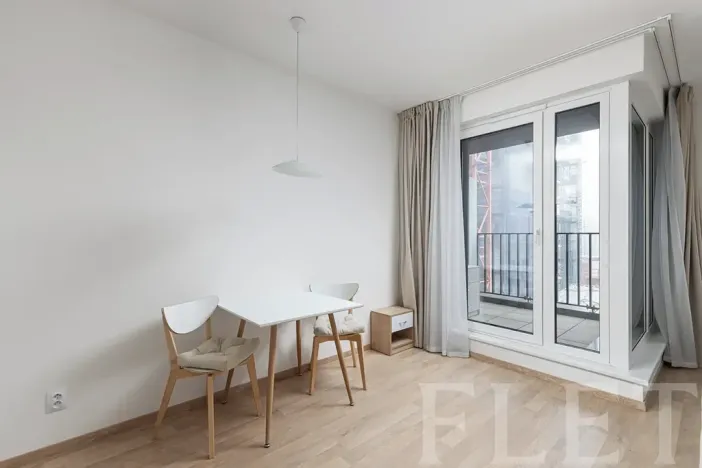 Pronájem bytu 1+kk, Praha - Žižkov, Olgy Havlové, 40 m2