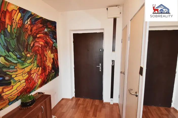 Prodej bytu 1+kk, Teplice, Opavská, 33 m2