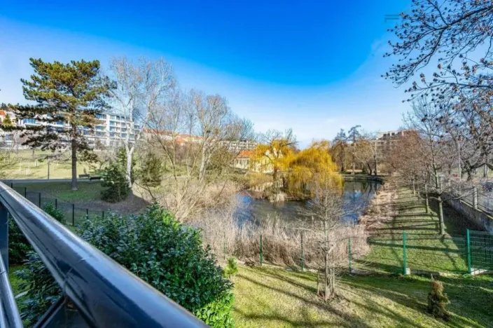 Pronájem bytu 3+kk, Praha - Břevnov, Radimova, 134 m2