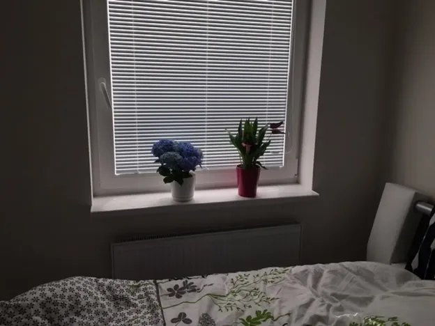 Pronájem bytu 2+kk, Praha - Nové Město, Opletalova, 45 m2