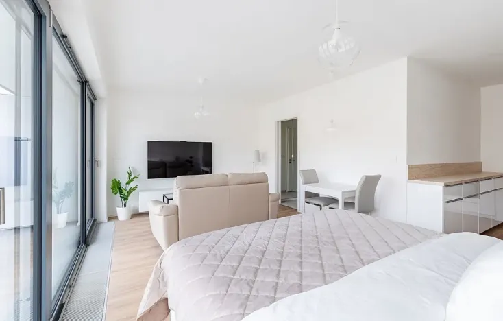 Pronájem bytu 1+kk, Brno - Veveří, Lidická, 52 m2