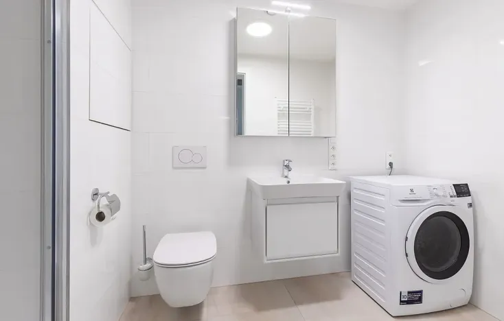 Pronájem bytu 1+kk, Brno - Veveří, Lidická, 52 m2