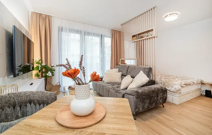 Pronájem bytu 1+kk, Praha - Hodkovičky, Šenácká, 60 m2