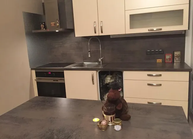 Pronájem bytu 2+kk, Liberec - Liberec I-Staré Město, Gorkého, 73 m2