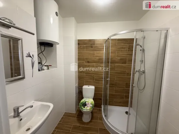 Pronájem bytu 2+1, Ústí nad Labem - Střekov, Purkyňova, 52 m2