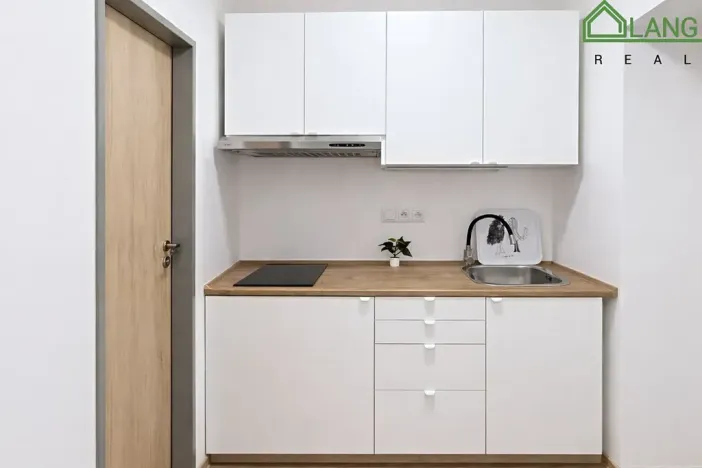 Pronájem bytu 1+kk, Brno, Francouzská, 25 m2