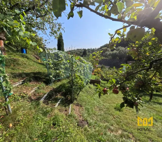 Prodej rodinného domu, Bělá pod Bezdězem, Táborová, 2050 m2