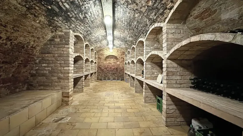 Prodej apartmánu, Strachotín, Sklepní, 285 m2