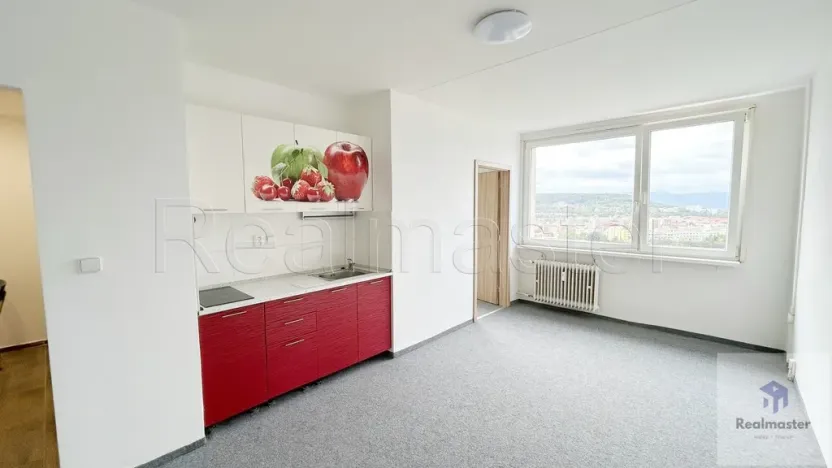 Pronájem bytu 1+1, Most, Javorová, 33 m2