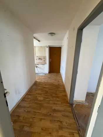 Prodej bytu 2+1, Praha - Krč, Halasova, 55 m2