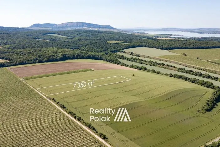 Prodej pole, Bulhary, 7380 m2