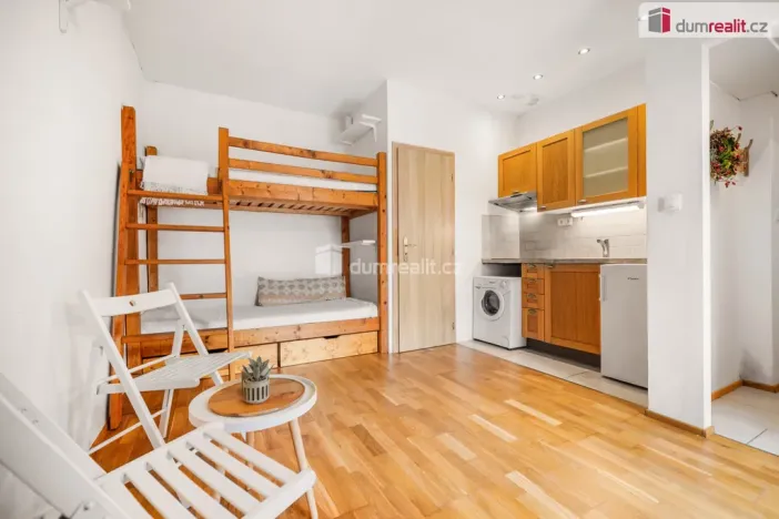 Prodej bytu 1+kk, Praha - Žižkov, Milíčova, 19 m2