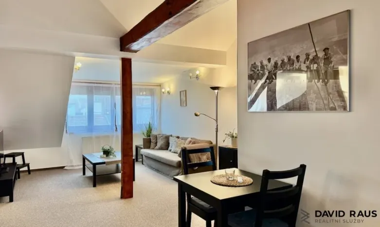 Pronájem bytu 1+kk, Brno - Veveří, Gorkého, 61 m2