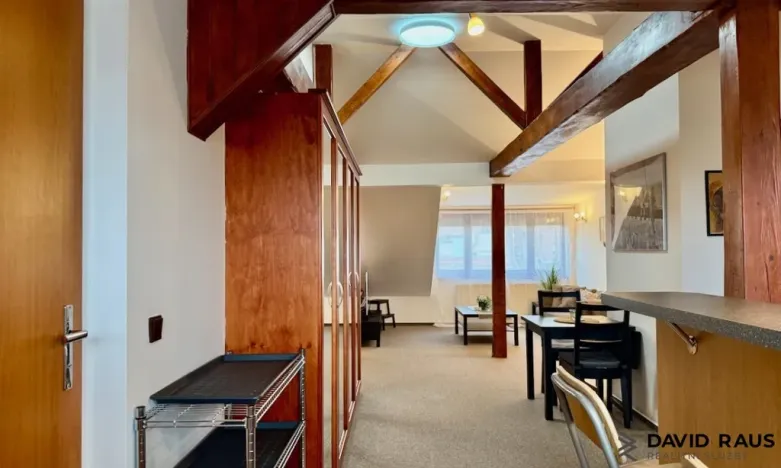 Pronájem bytu 1+kk, Brno - Veveří, Gorkého, 61 m2