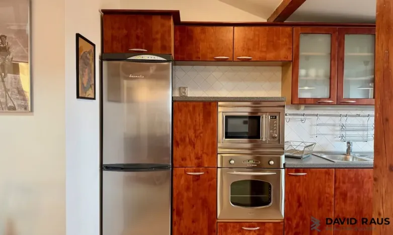 Pronájem bytu 1+kk, Brno - Veveří, Gorkého, 61 m2