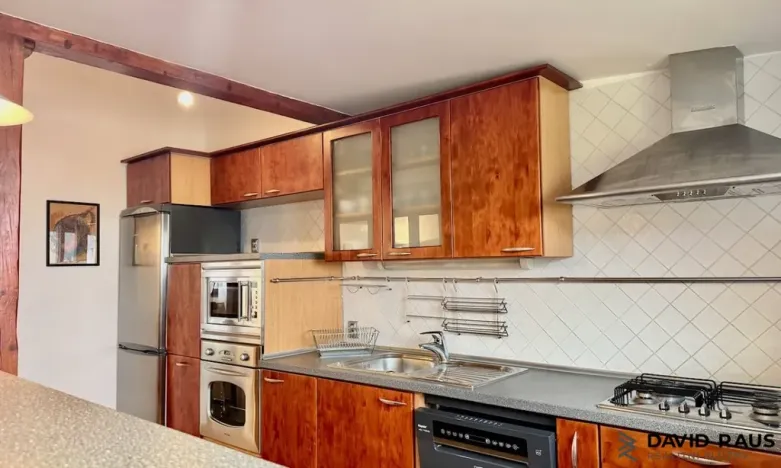 Pronájem bytu 1+kk, Brno - Veveří, Gorkého, 61 m2