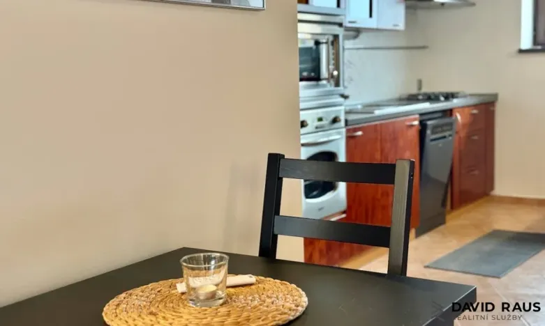 Pronájem bytu 1+kk, Brno - Veveří, Gorkého, 61 m2